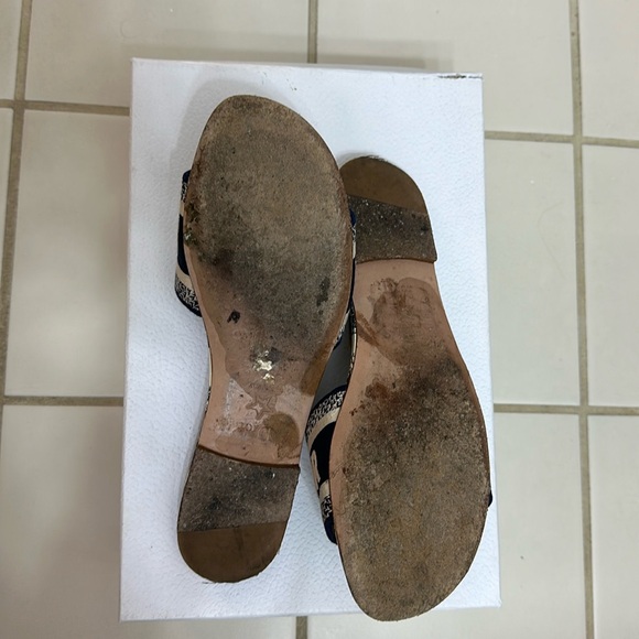 Christian Dior Dway Slide Embroidered Cotton Vibrant Blue Toile de Jouy Motif - Picture 2 of 5